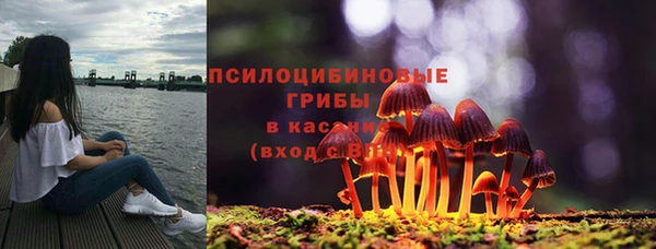 МДПВ Абаза