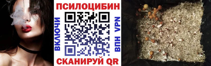Галлюциногенные грибы GOLDEN TEACHER  цена   Брюховецкая 